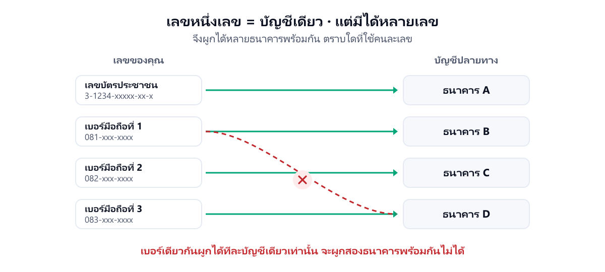 แผนภาพแสดงว่าเลขหนึ่งเลขผูกได้บัญชีเดียว โดยเลขบัตรประชาชนกับเบอร์มือถือสามเบอร์ผูกกับสี่ธนาคารคนละแห่งได้ แต่เบอร์เดียวผูกสองธนาคารพร้อมกันไม่ได้
